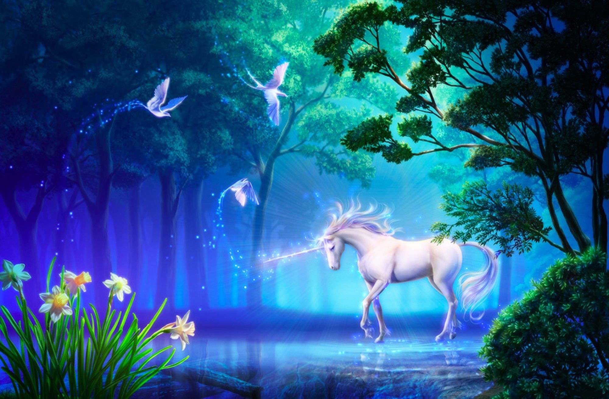 Unicorns And Fairies - HD Wallpaper 