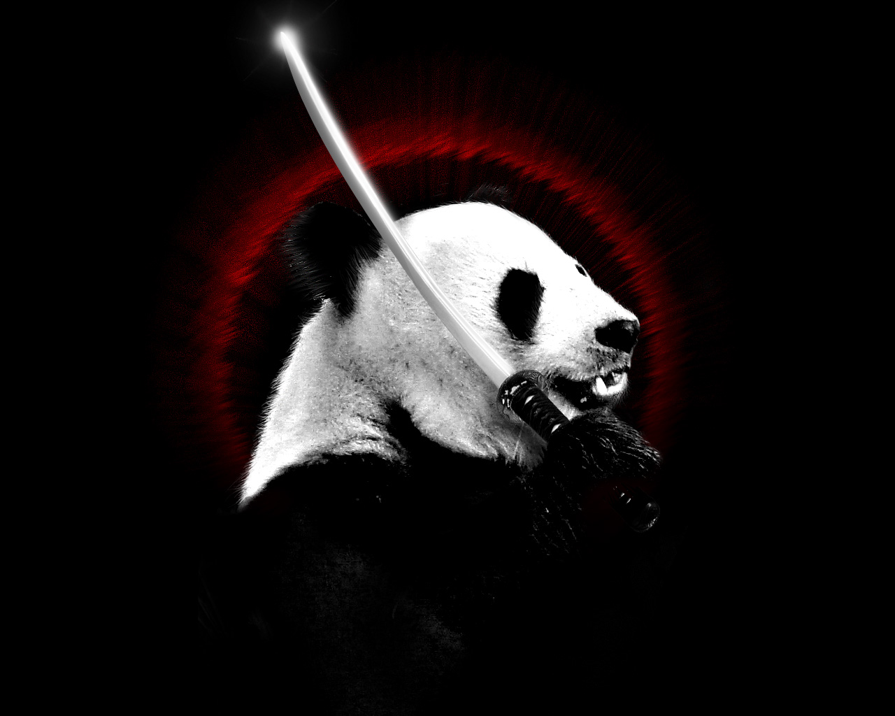 Ninja Panda - HD Wallpaper 