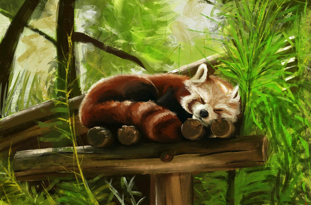 Cute Red Panda Painting - HD Wallpaper 