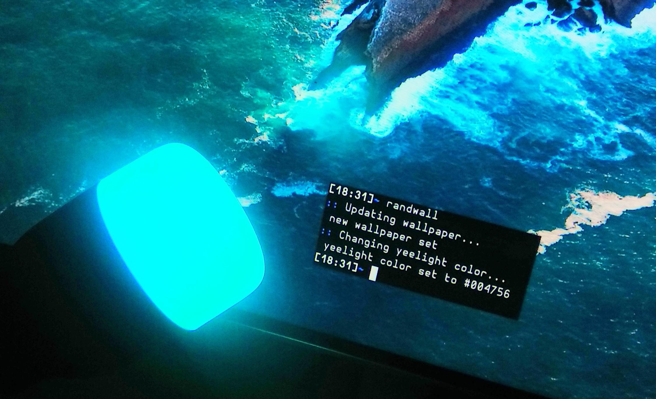 Killer Whale - HD Wallpaper 