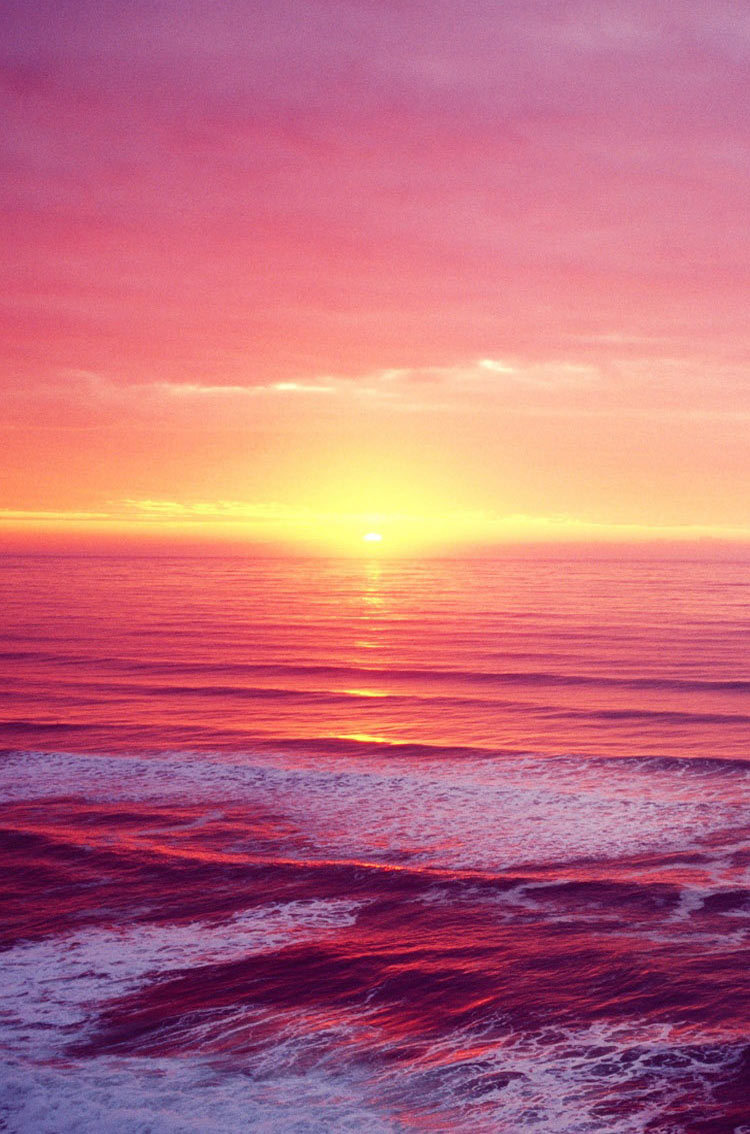 Desktop Wallpapers, Wallpapers, And Backgrounds Image - High Resolution Beach Sunset - HD Wallpaper 