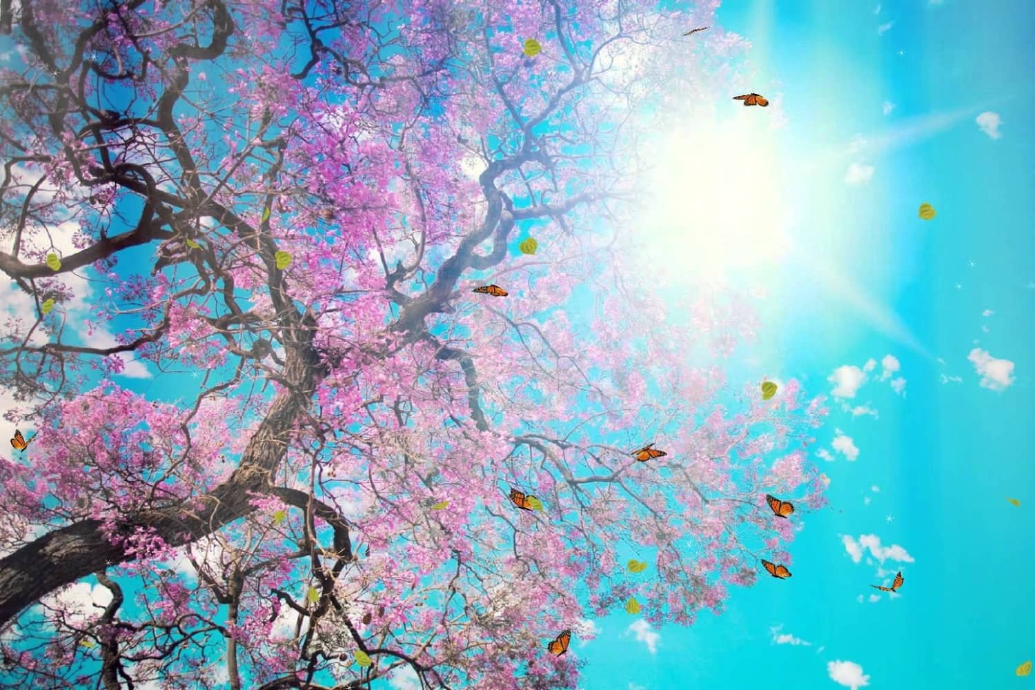 Pretty Background - HD Wallpaper 