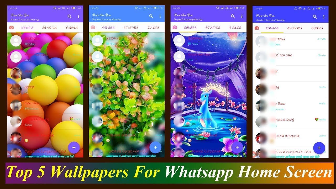 Best Whatsapp Home Screen - HD Wallpaper 