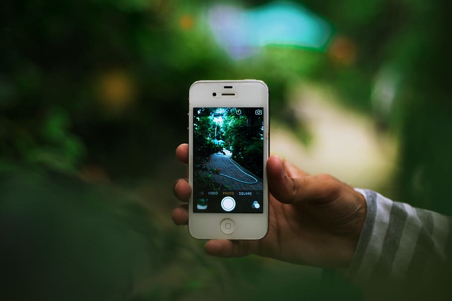 Trees, Green, Greenery, Close-up, Iphone, Iphone 4s, - Iphone - HD Wallpaper 