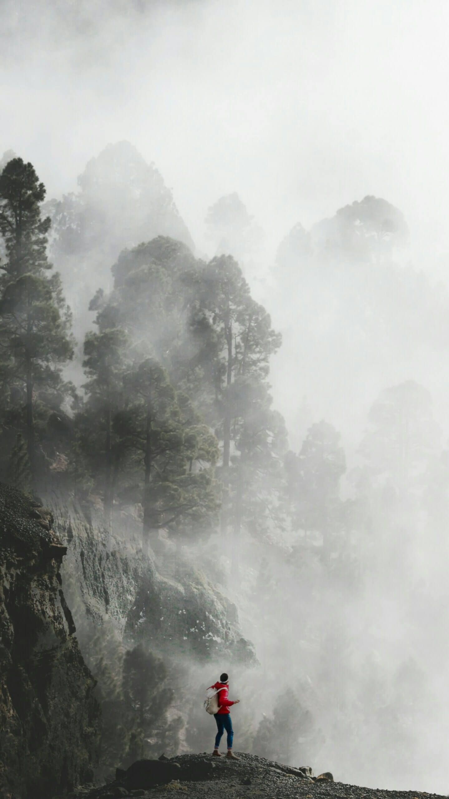 Matthew 6 33 Phone - HD Wallpaper 