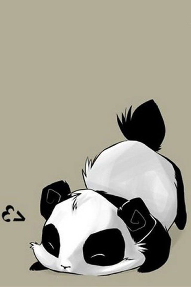 Panda Bear Anime Panda Boy - HD Wallpaper 