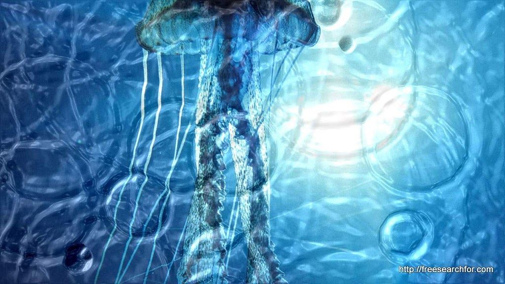 Underwater - HD Wallpaper 