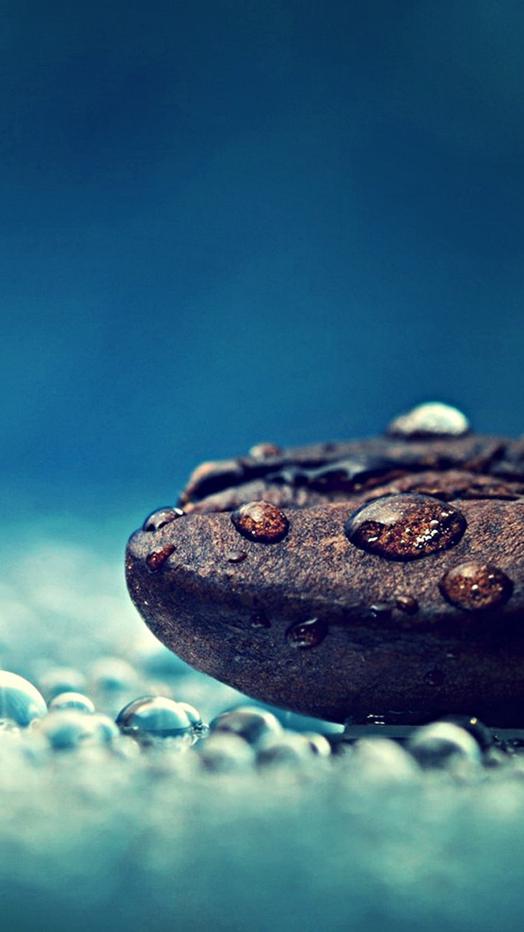 Wallpaper Free Download Page Find The Best Free Stock - Quotes To Achieve Something - HD Wallpaper 