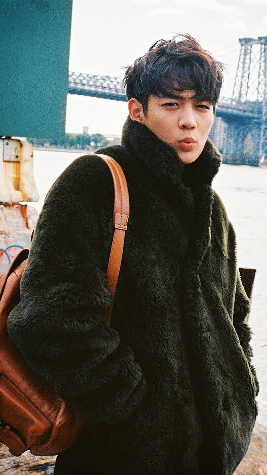 Lq Shinee - HD Wallpaper 