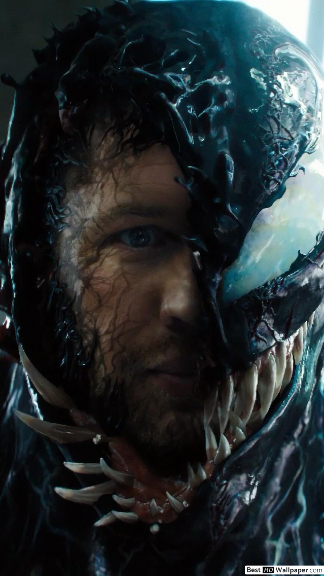 Kevin Feige Venom - HD Wallpaper 