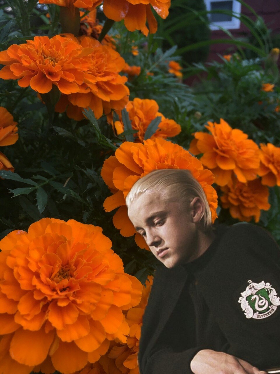 First For The Faves 
i Think They’re Cute And I Might - Draco Chamber Of Secrets Bookstore - HD Wallpaper 