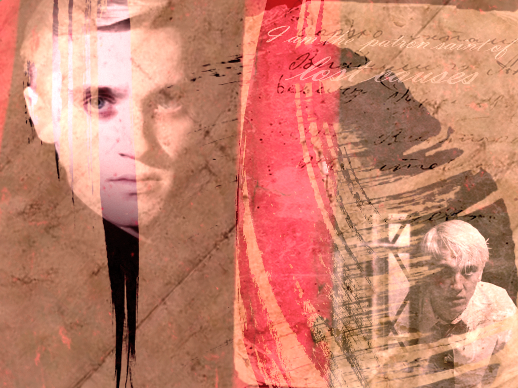 Tom Felton - HD Wallpaper 