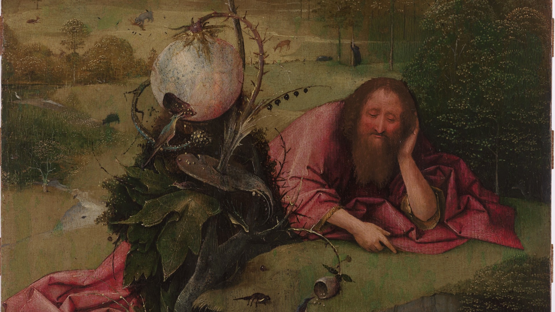 Curious World Of Hieronymus Bosch - HD Wallpaper 