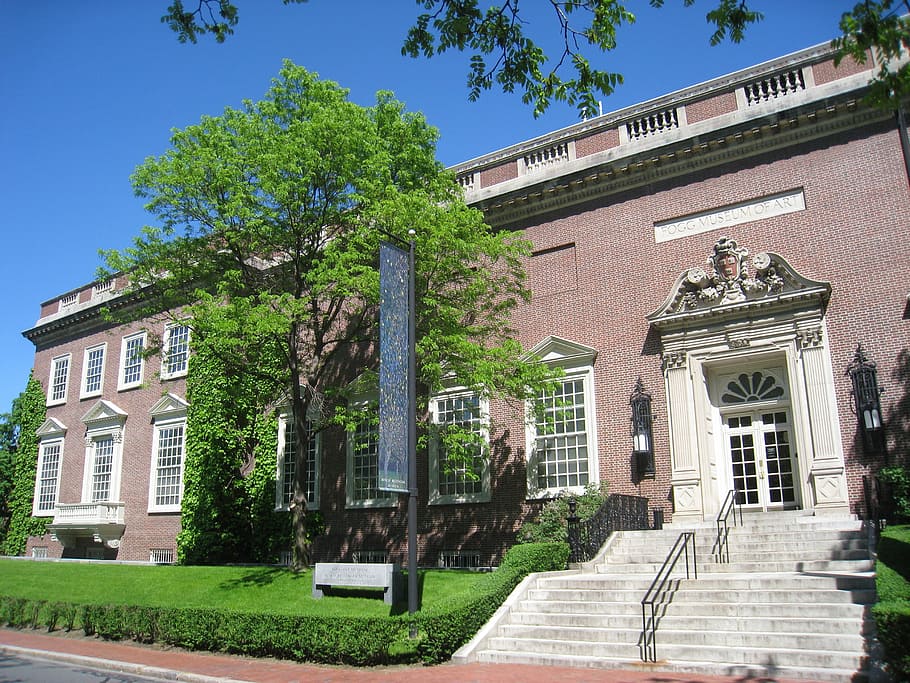 Fogg Museum At Harvard University, Cambridge, Massachusetts, - Fogg Art Museum - HD Wallpaper 