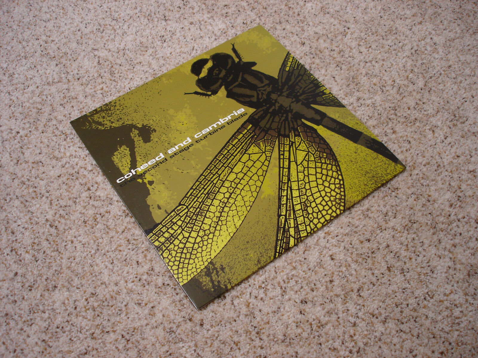 Motif - HD Wallpaper 