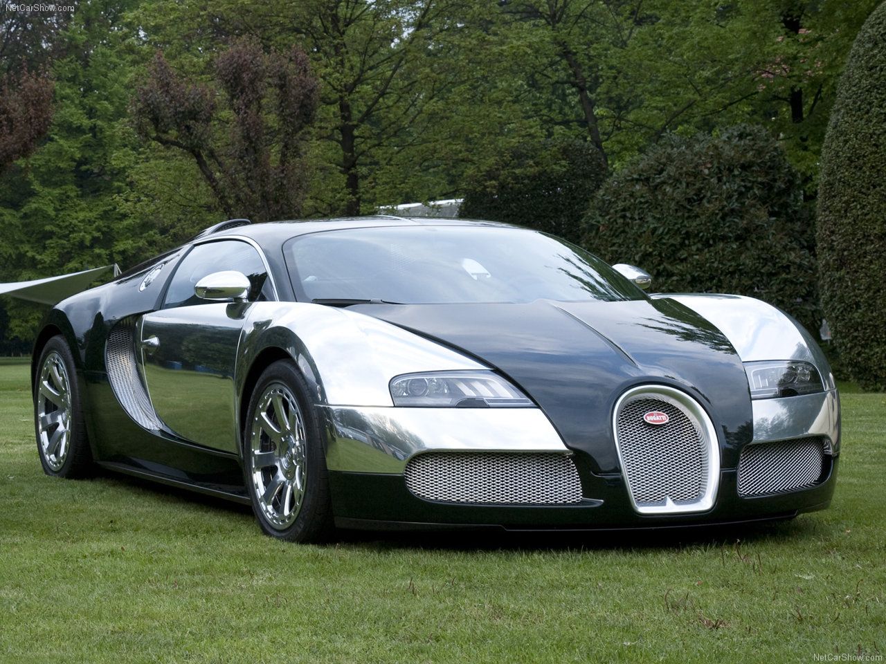 Fine Bugatti Veyron Photos And Pictures, Bugatti Veyron - World Top Ten Fast Car - HD Wallpaper 