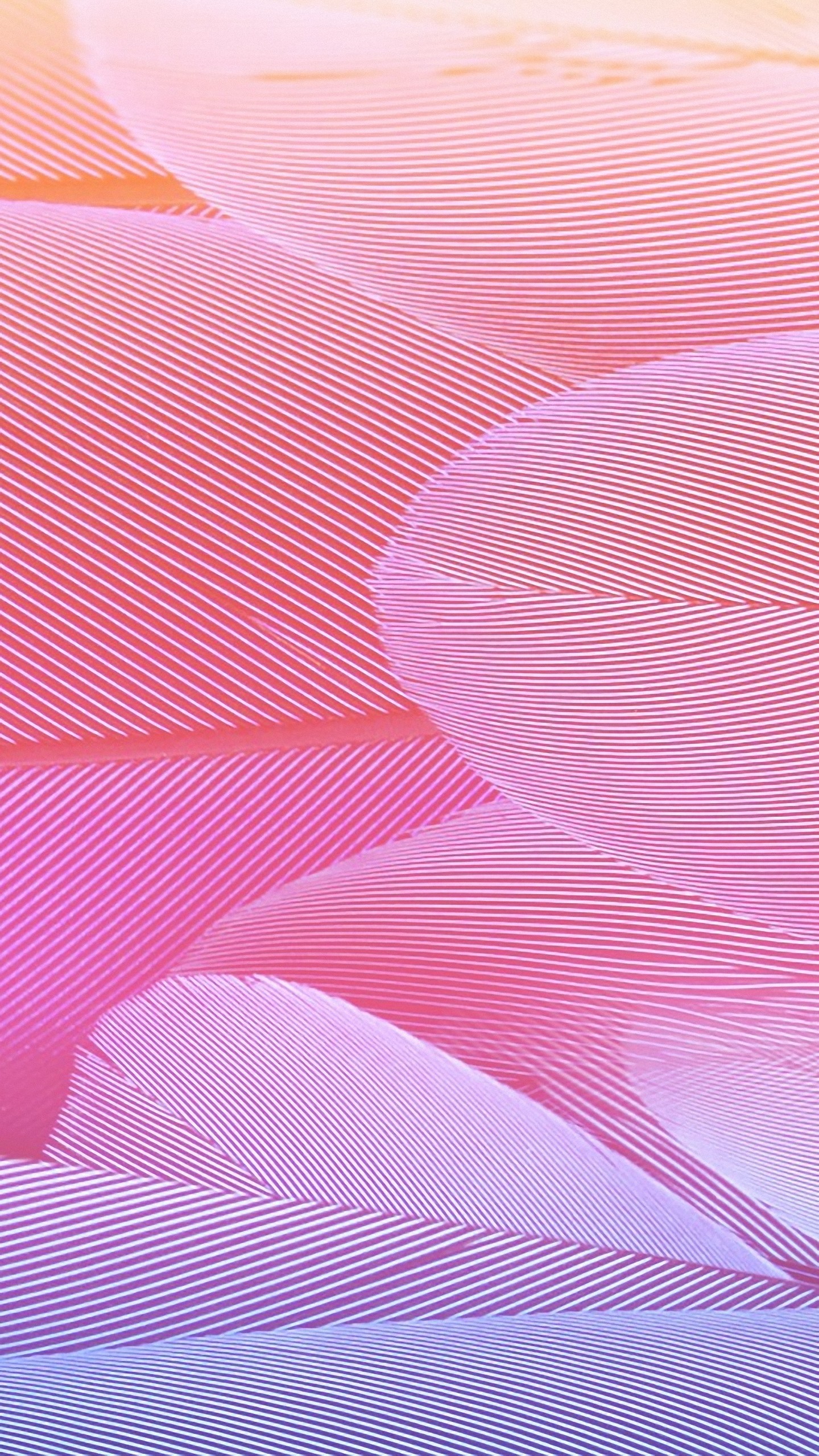1440x2560, Hd Abstract Pink Feather Texture Samsung - Pink Feather Wallpaper Hd - HD Wallpaper 