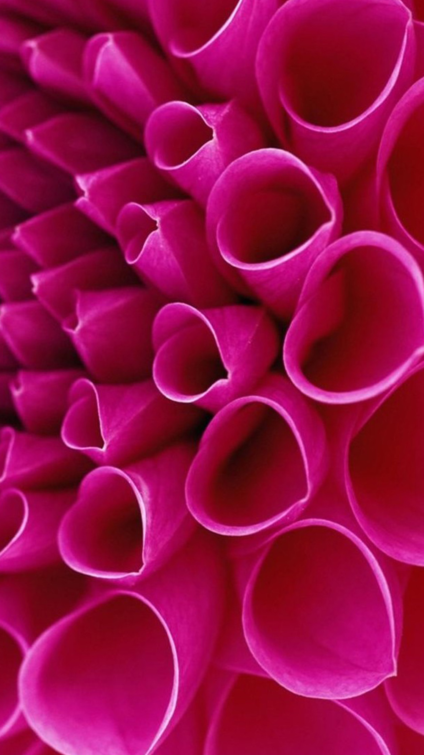 Hd Wallpapers For Mi Note4 - HD Wallpaper 