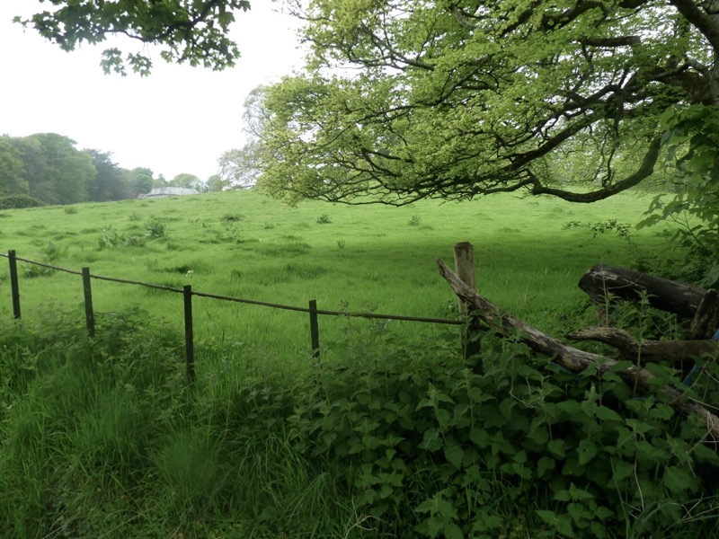 X - Split-rail Fence - HD Wallpaper 