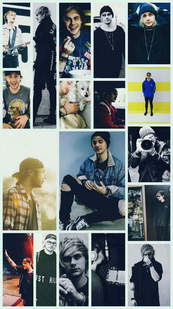 User Uploaded Image - Collage - HD Wallpaper 