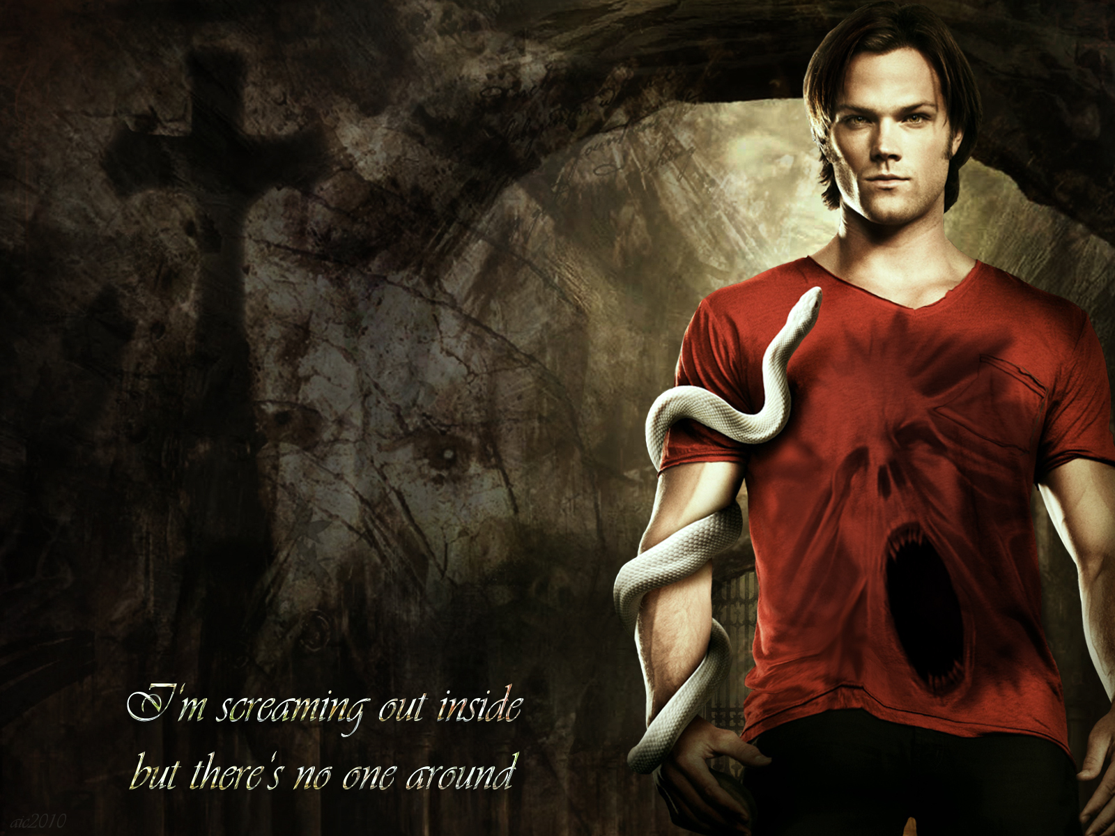 Supernatural Images Sam Hd Wallpaper And Background - Supernatural Wallpaper Sam - HD Wallpaper 