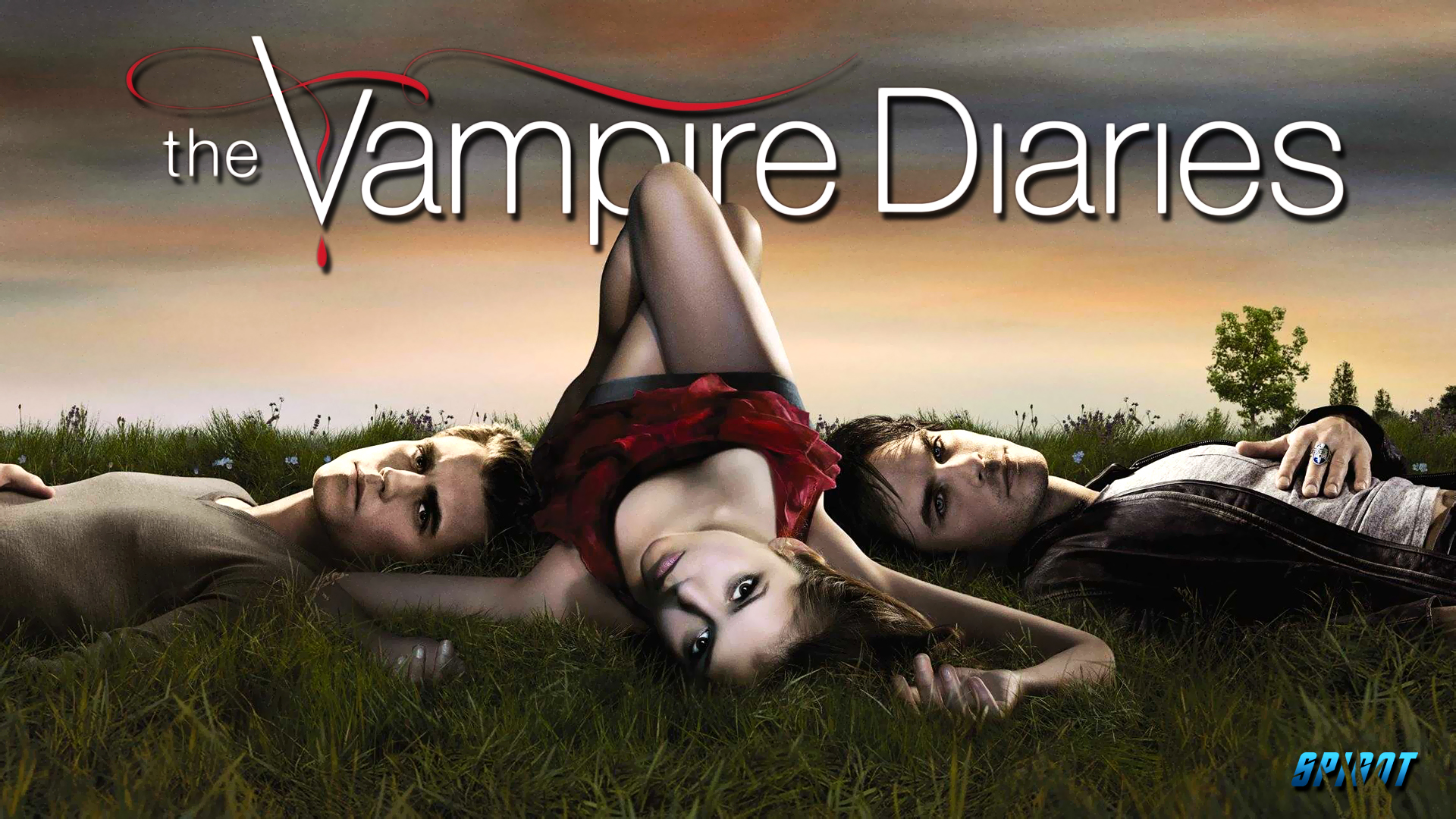 Vampire Diaries - HD Wallpaper 