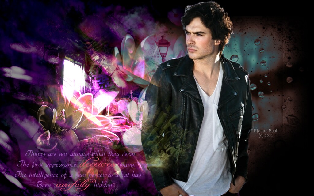 Vampires Diaries Damon Salvatore - HD Wallpaper 