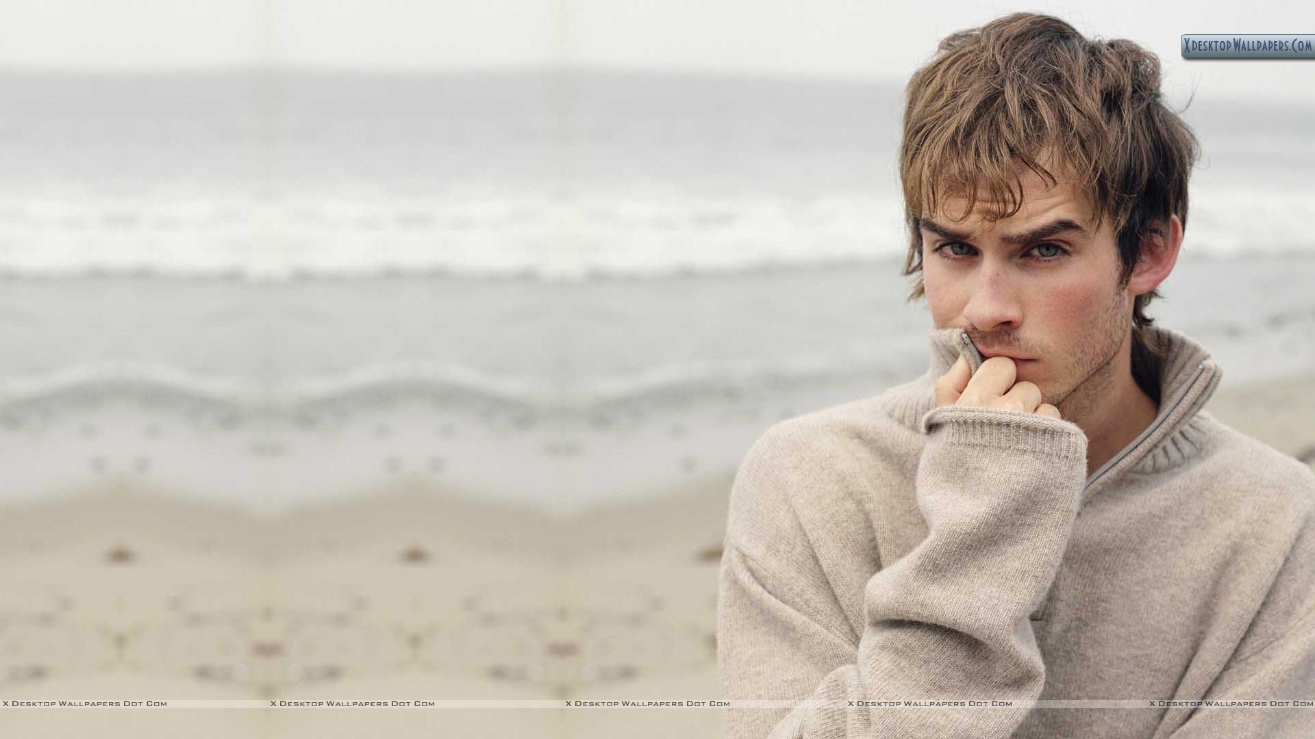 Male Celebrities - Background Ian Somerhalder - HD Wallpaper 