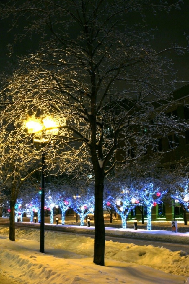 Winter Night - HD Wallpaper 