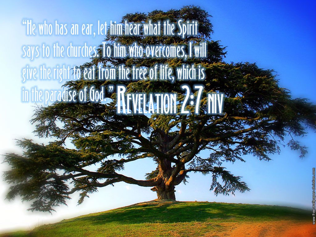 Tree Of Life Bible Verse - HD Wallpaper 