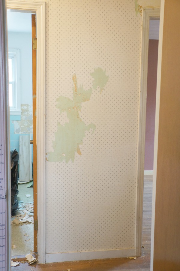 Screen Door - HD Wallpaper 