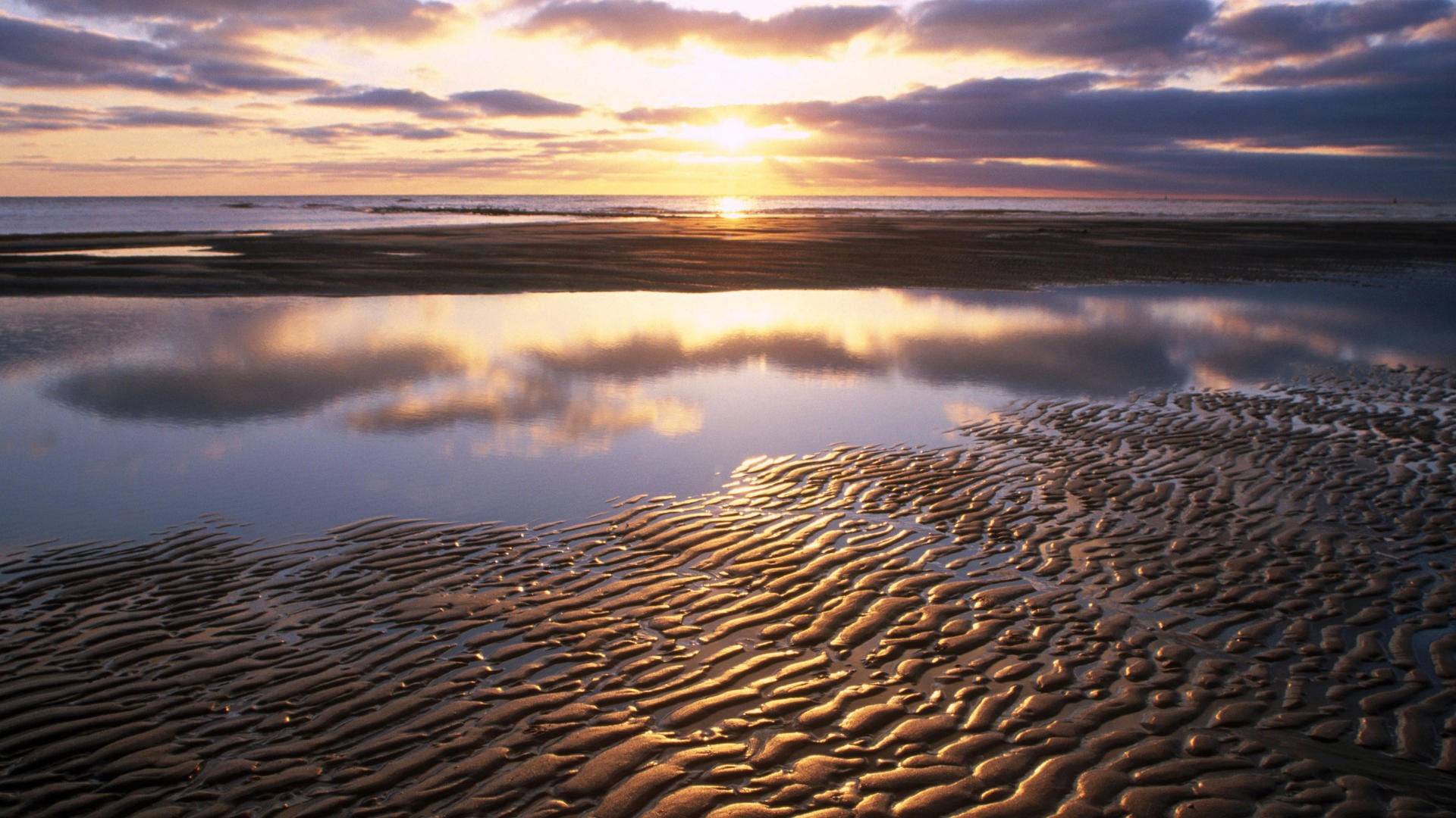 Texel Netherlands - HD Wallpaper 