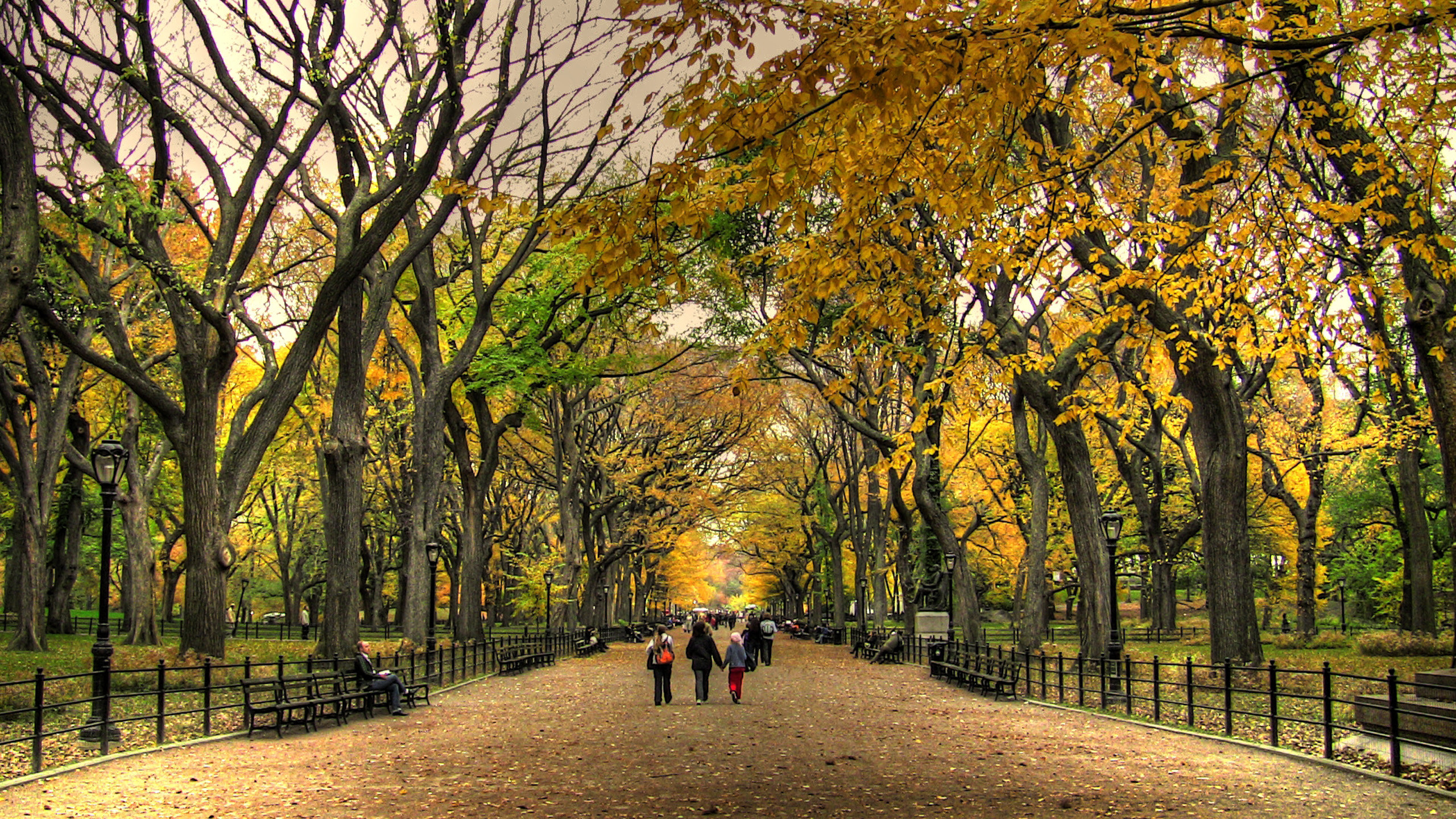 Wallpaper 
 Data Src Beautiful Central Park Wallpaper - Central Park Desktop Background - HD Wallpaper 