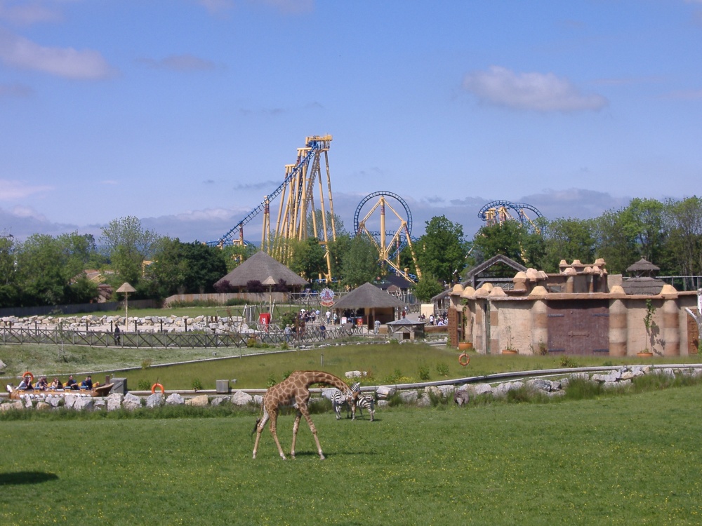 Flamingo Land Theme Park And Zoo - HD Wallpaper 