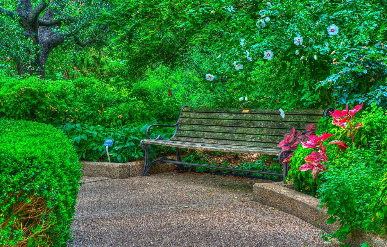 Photo Wallpaper Trees, Flowers, Park, Hdr, The Bushes, - Park Background Photo Download - HD Wallpaper 