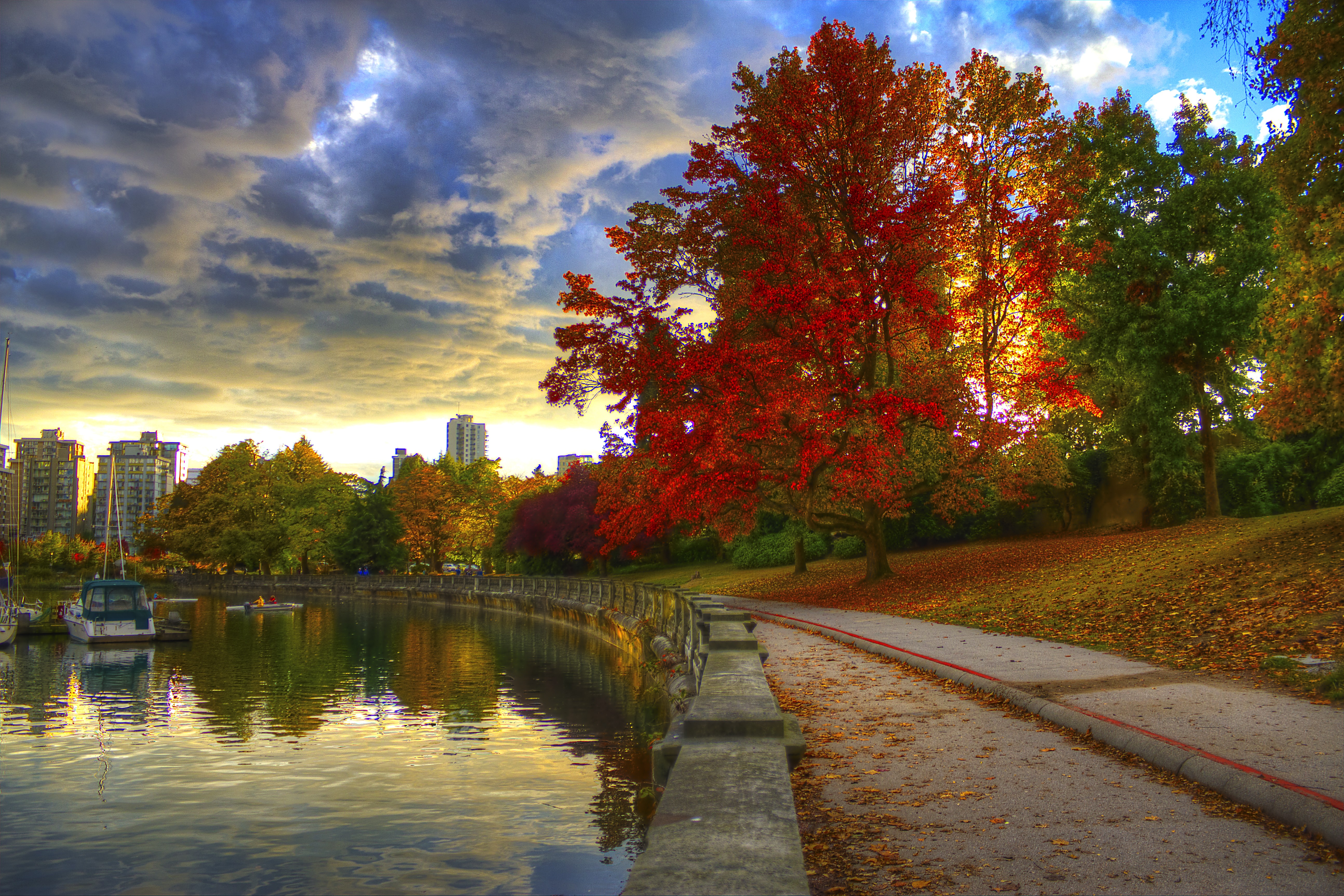Stanley Park Vancouver Fall - HD Wallpaper 
