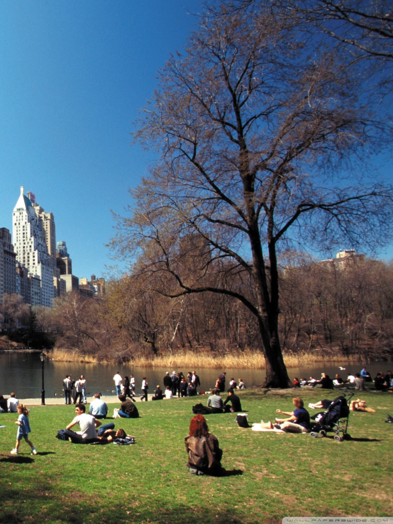 Central Park New York Morning - HD Wallpaper 