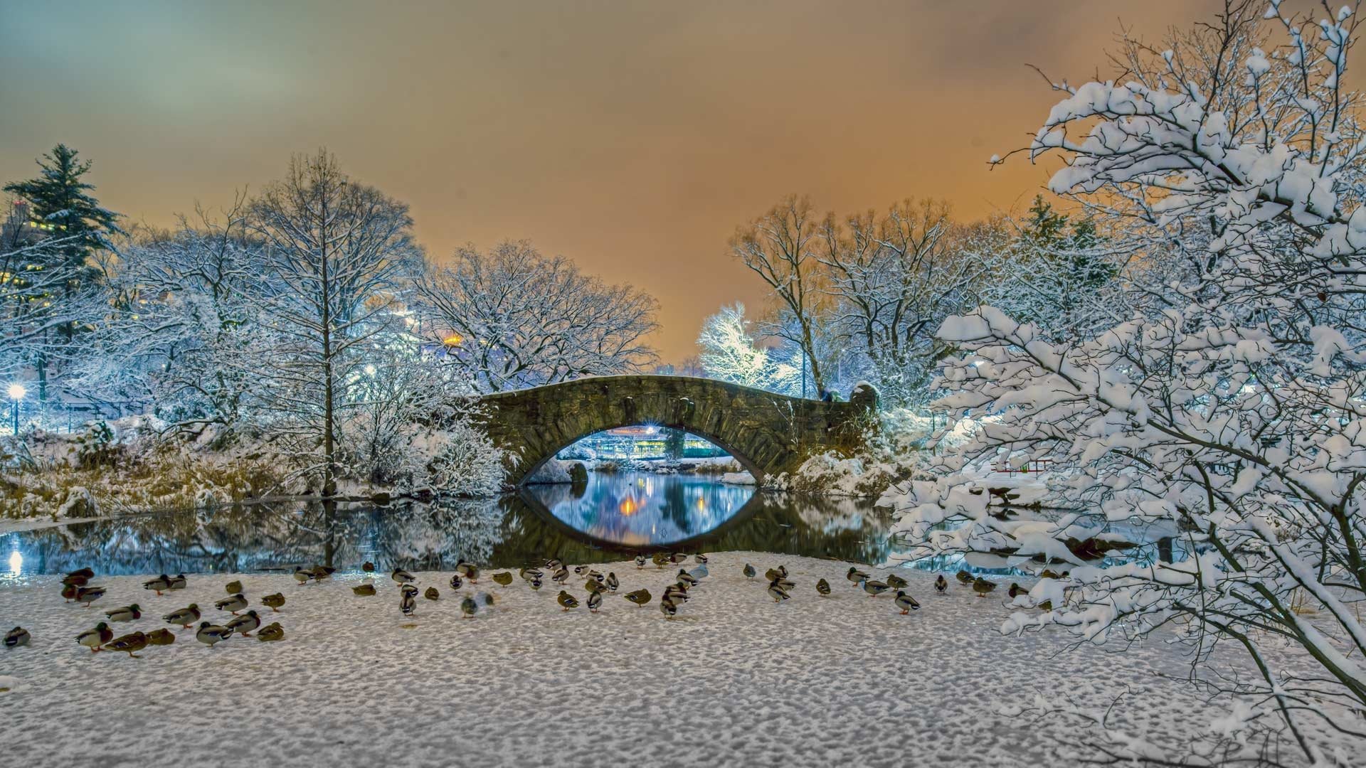 Winter Gapstow Bridge Central Park - 1920x1080 Wallpaper Winter Gapstow Bridge Central Park - 1920x1080 Wallpaper