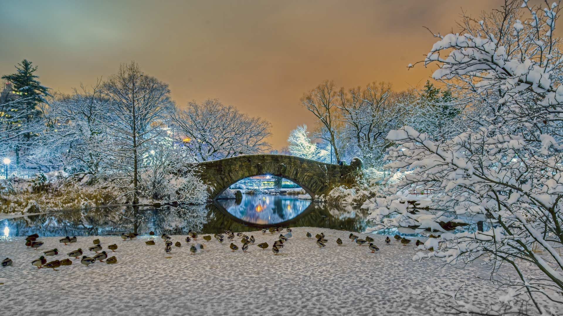 Winter Gapstow Bridge Central Park - HD Wallpaper 