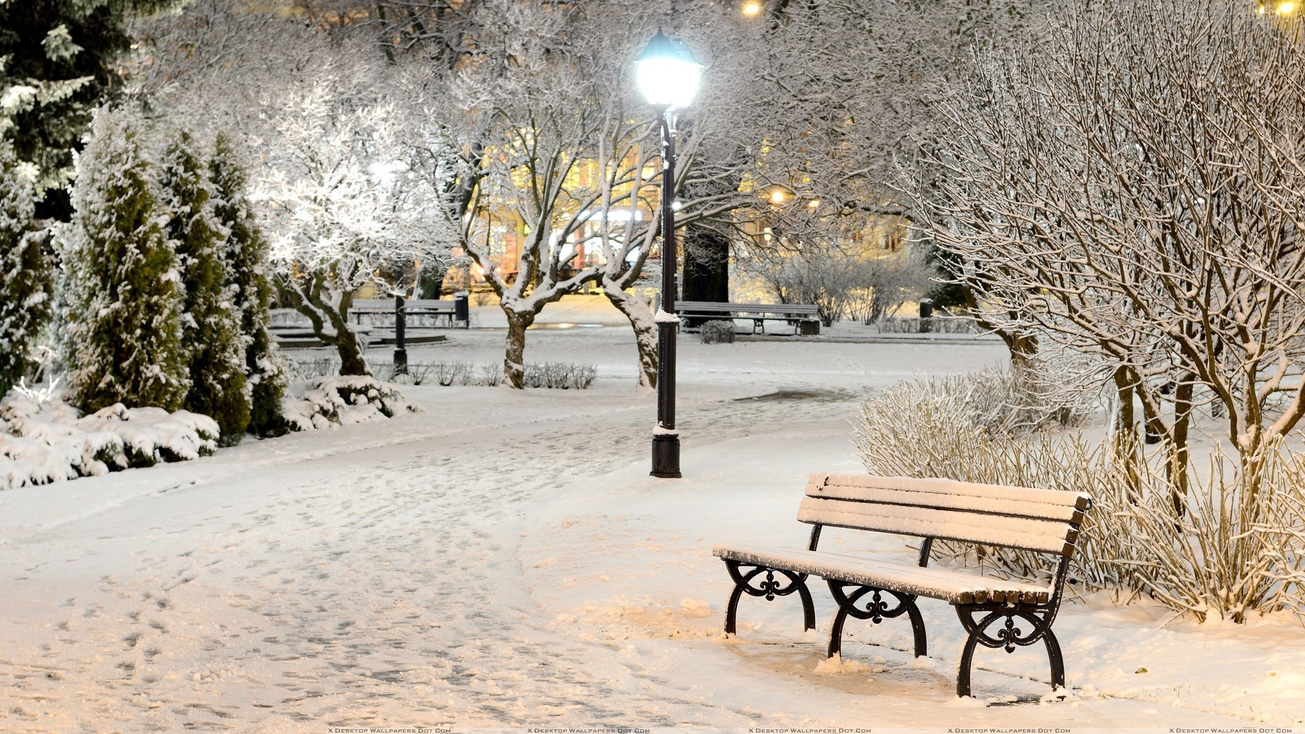 Snow In The Park - HD Wallpaper 