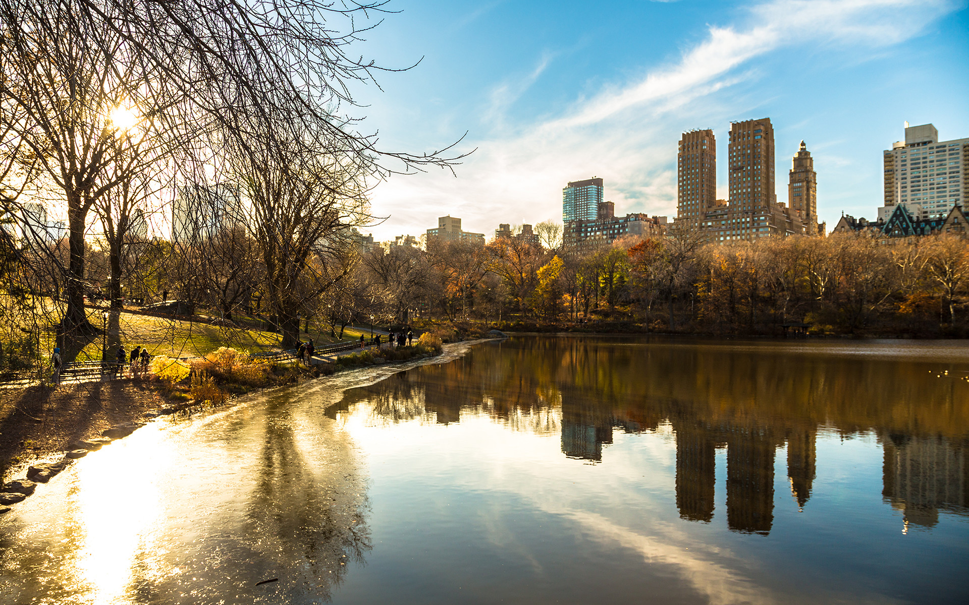 Trees, Sunlight, Central, Reflection, Background Images, - Central Park - HD Wallpaper 