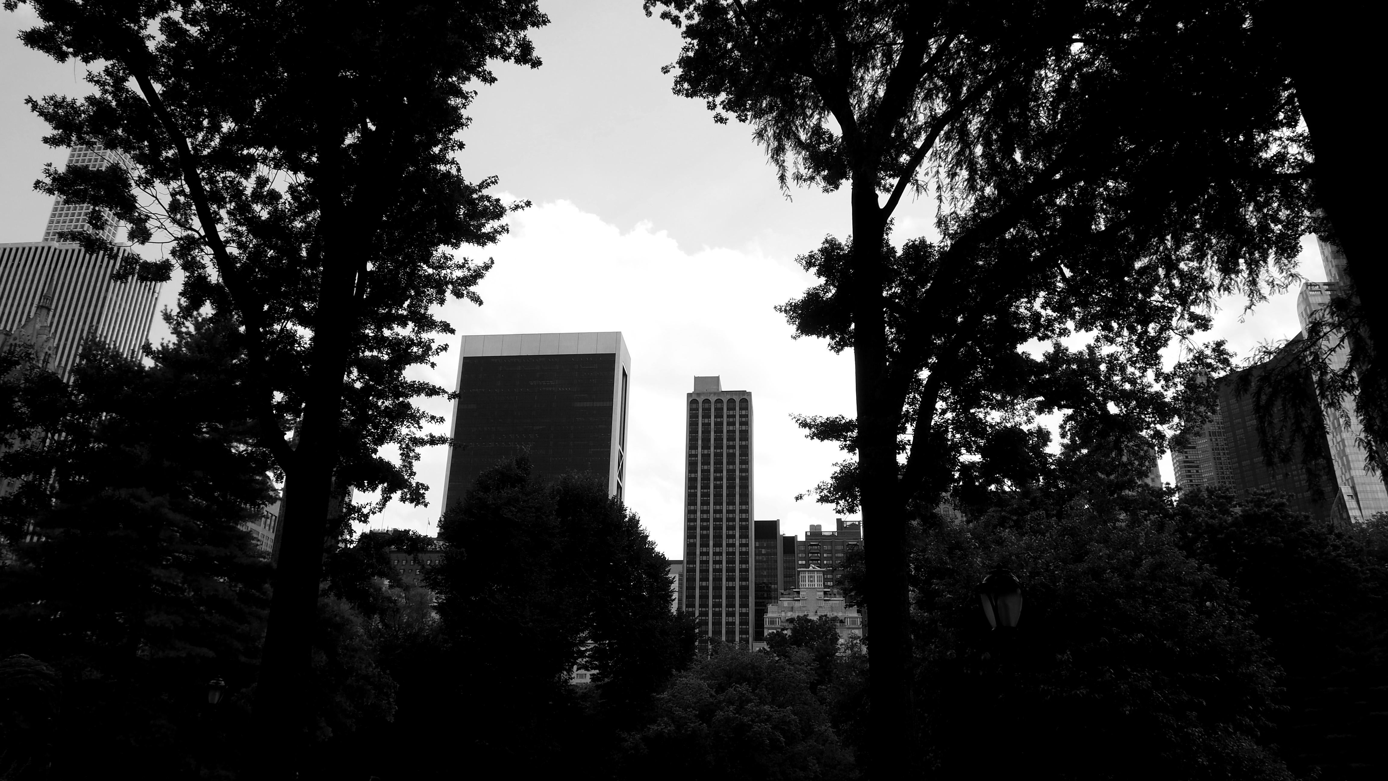Central Park Wallpaper - Skyscraper - HD Wallpaper 