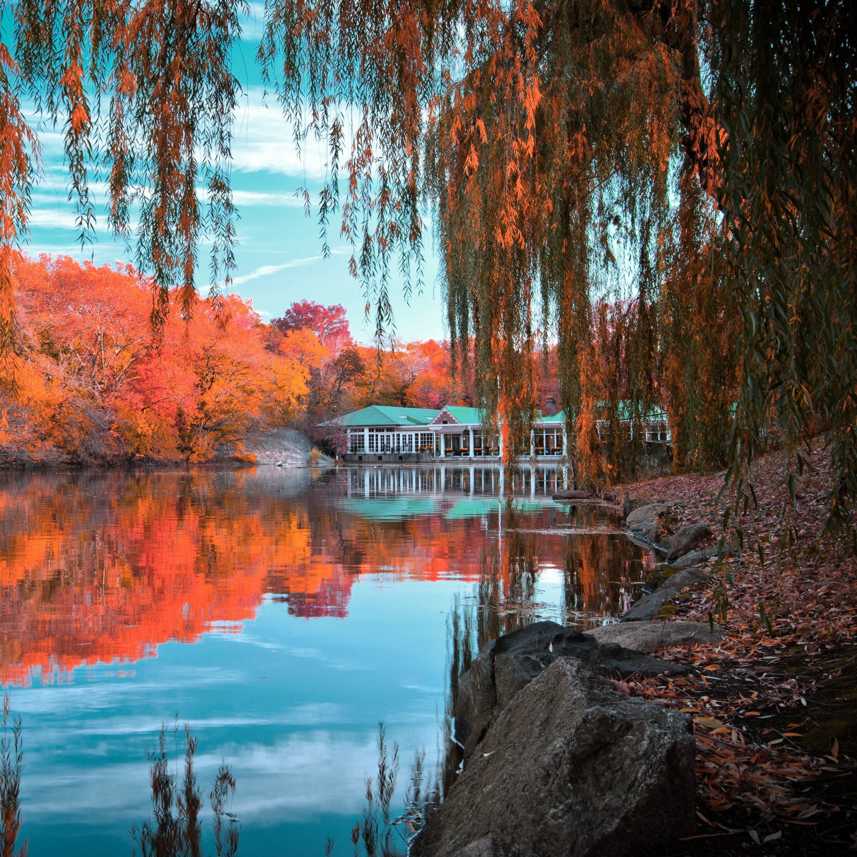 Wallpaper Central Park, New York, Autumn, Beautiful - Central Park New York Autumn - HD Wallpaper 