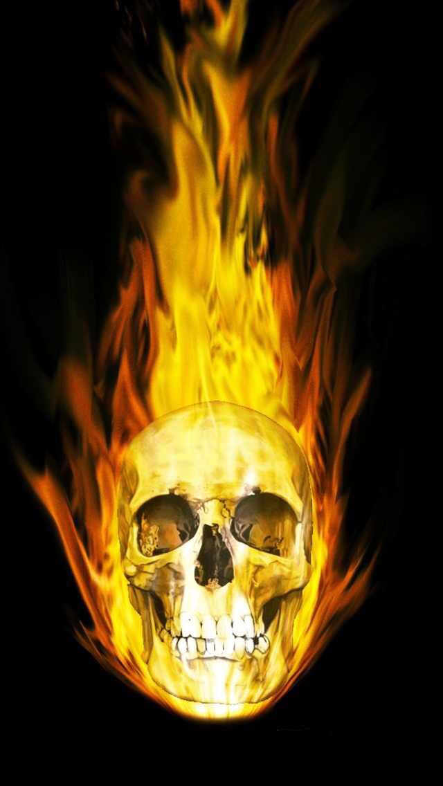Skulls Background For Phones - HD Wallpaper 