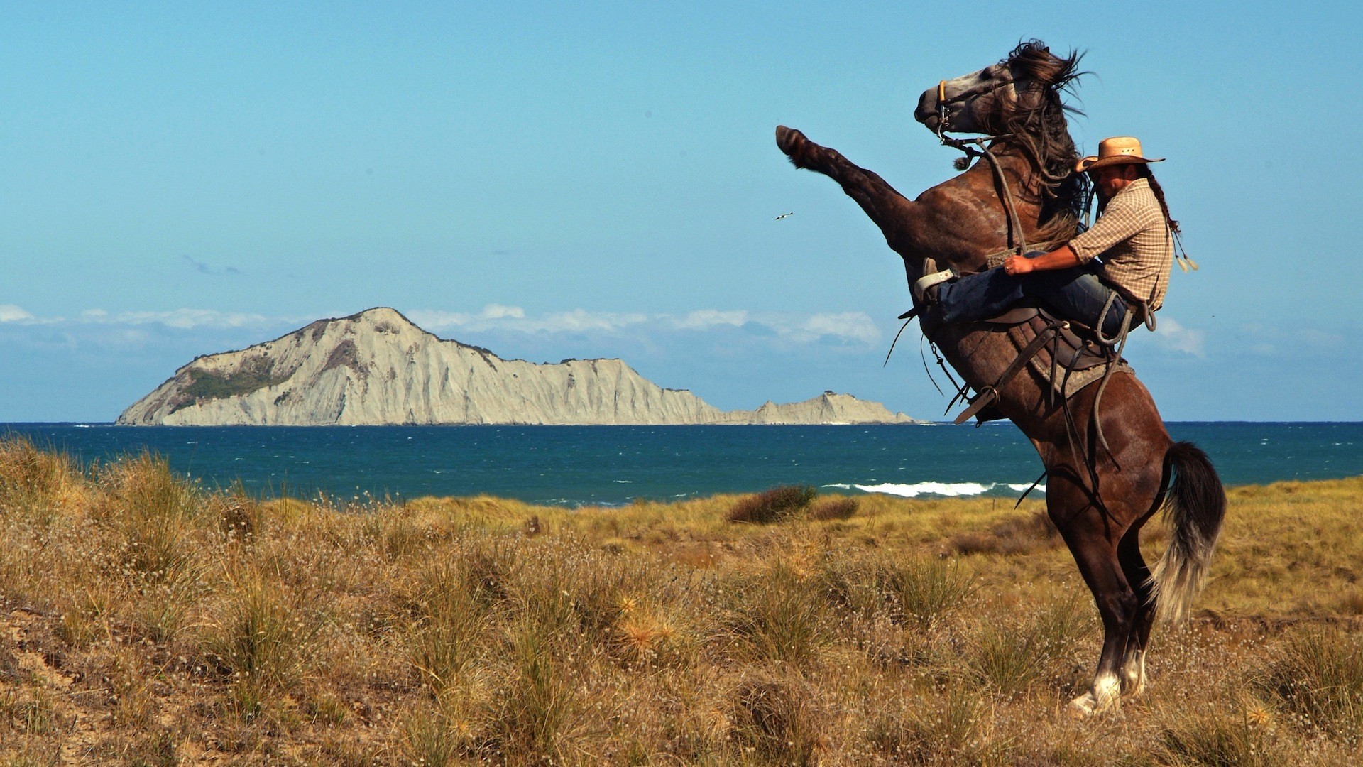 Incredible Ghost Rider Horse Wallpaper Te
maleficent - Cowboy Hd - HD Wallpaper 