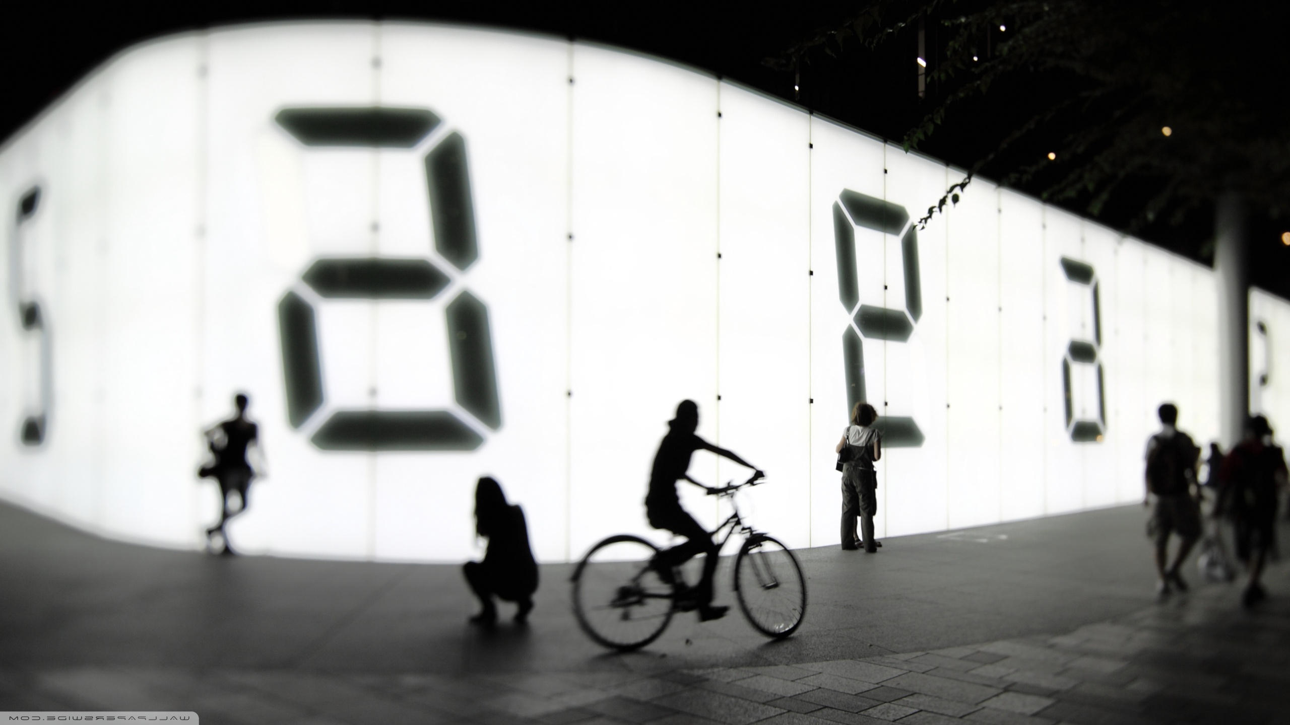 Bike Rider Hd Wallpaper - HD Wallpaper 