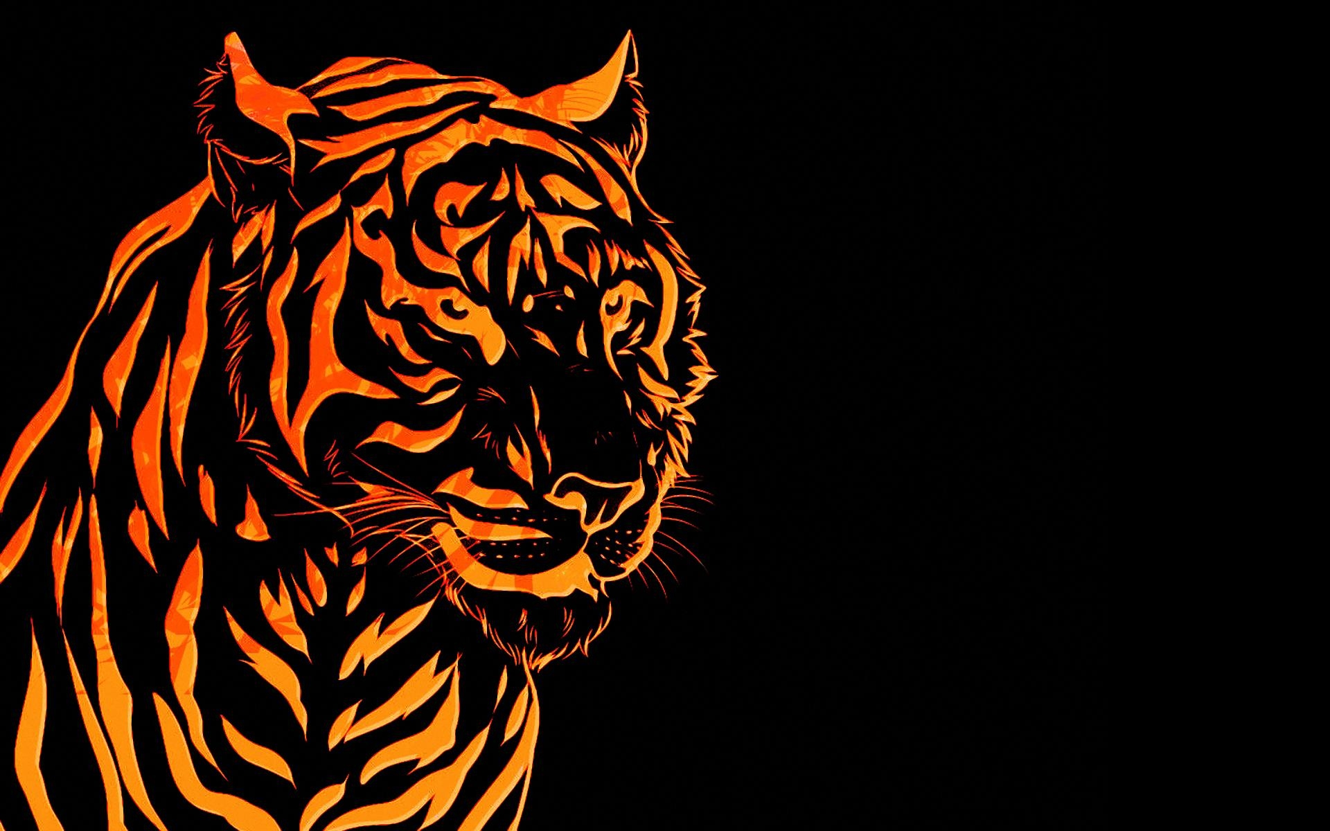 Photo Wallpaper Fire, Red, Black, Fire Tiger - Fire Tiger - HD Wallpaper 