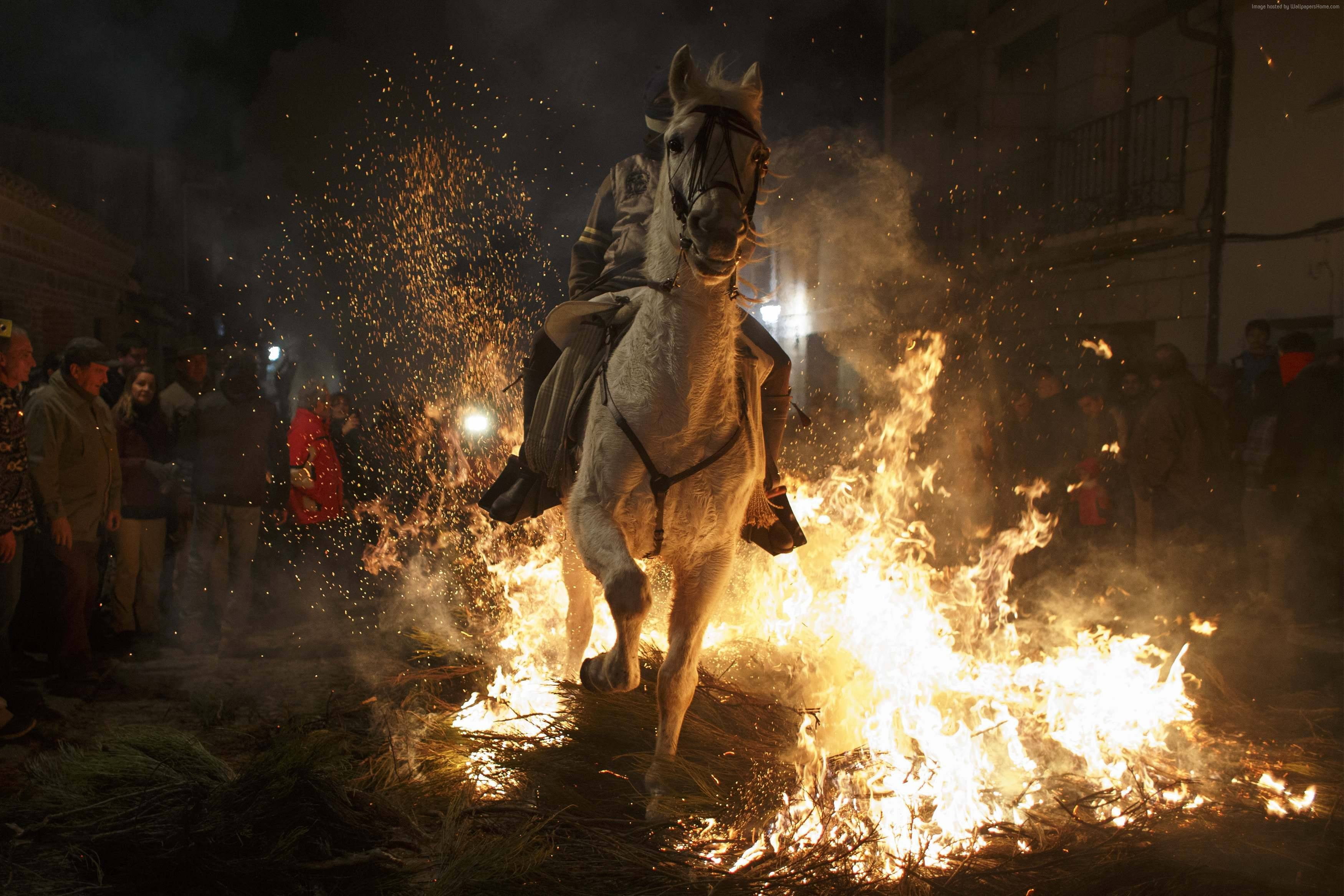 Horse Running On Fire - HD Wallpaper 