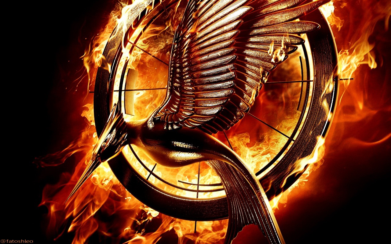 Catching Fire Wallpapers - Hunger Games Catching Fire Logo - HD Wallpaper 