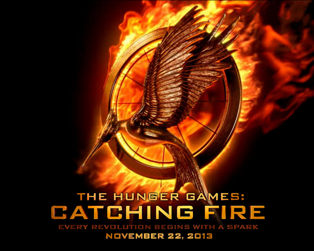 Hunger Games Catching Fire Book Release - HD Wallpaper 